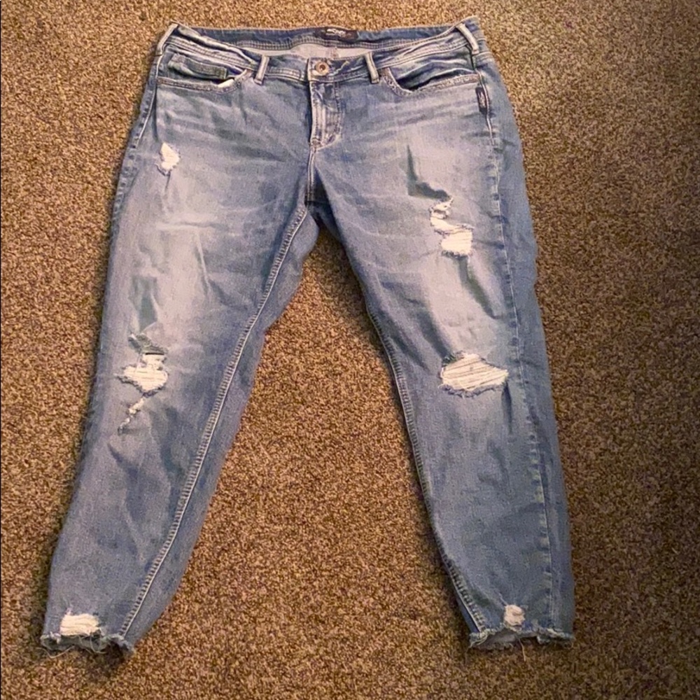Silver jeans suki crop